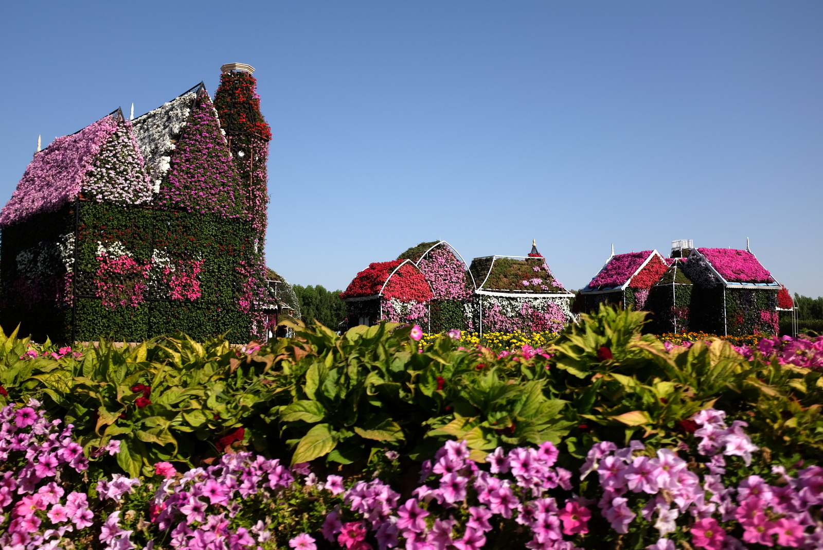 Dubai Miracle Garden - Flowers and houses