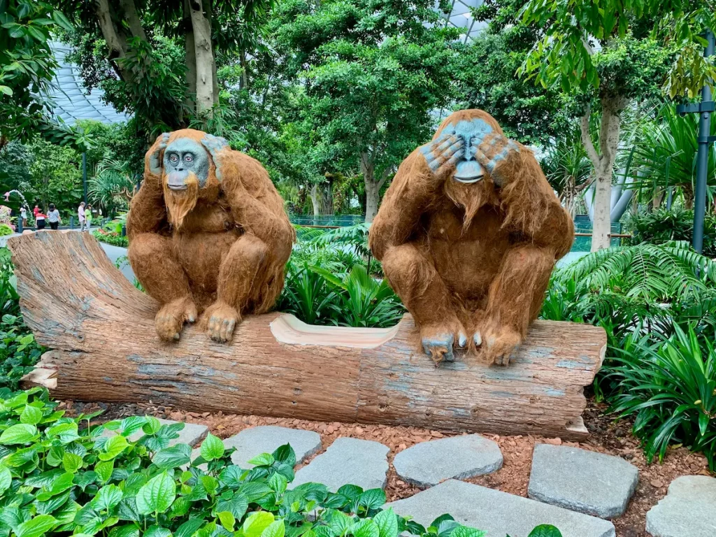 Letiště Changi v Singapuru: Canopy park - orangutani