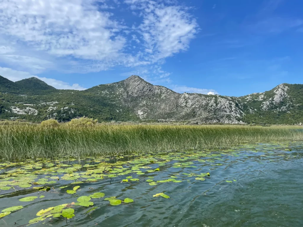 Škadarské jezero